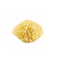 Thermobaby - Honeycomb Natural Sponge