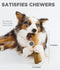 Petstages -  Dogwood Wood Alternative Dog Chew Toy, Xs