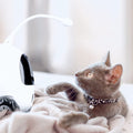 Tutirobo -  Smart Iot Pet Sitter For Your Cats & Dogs, Mobile Full Hd Pet Camera With Treat Dispenser, Remote Control Via App Pet Robot