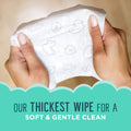 Seventh Generation Free and Clear Baby Wipes - Pack of 9