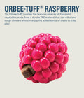Planet Dog -  Orbee-Tuff Raspberry Treat-Dispensing Dog Chew Toy