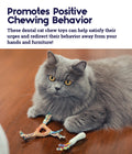 Petstages -  Catnip Dental Health Cat Chew Toy - 2 Pack