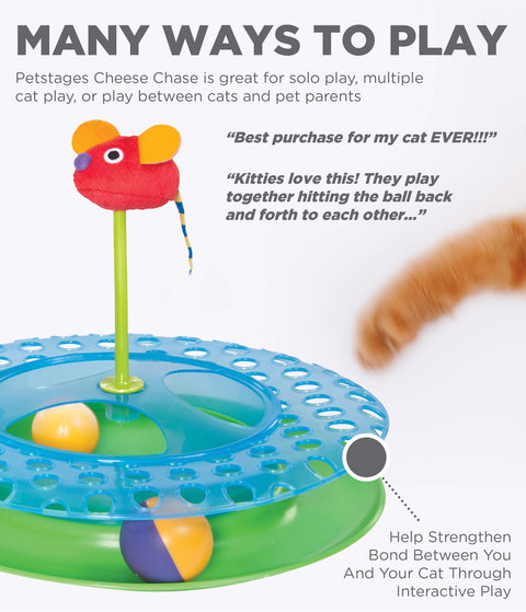 Petstages -  Cheese Chase Catnip Interactive Cat Track Toy