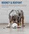 Planet Dog -  Orbee-Tuff Golf Ball Treat-Dispensing Dog Chew Toy