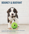 Planet Dog -  Orbee-Tuff Artichoke Treat-Dispensing Dog Chew Toy