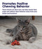 Petstages -  Catnip Plaque Away Pretzel Dental Cat Chew Toy
