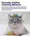 Petstages -  Catnip Chew Mice Dental Health Cat Toy - 2 Pack