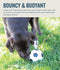 Planet Dog -  Orbee-Tuff Soccer Ball Treat-Dispensing Dog Chew Toy