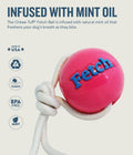Planet Dog -  Orbee-Tuff Pink Fetch Ball With Rope Dog Toy