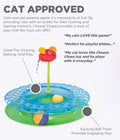 Petstages -  Cheese Chase Catnip Interactive Cat Track Toy