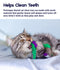 Petstages -  Krazy Kale Dental Catnip Cat Chew Toy