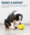 Planet Dog -  Orbee-Tuff Tennis Ball Treat-Dispensing Dog Chew Toy