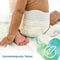 Pampers - Pure Protection Diapers, Size 1, 2-5kg, 50 Count-Pampers