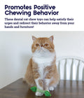 Petstages -  Fresh Breath Mint Stick Dental Cat Chew Toy