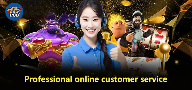 Professional online customer service